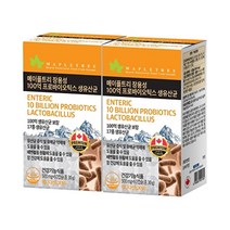 메이플트리 장용성 100억 프로바이오틱스 생유산균 60캡슐X2박스 4개월분, 없음