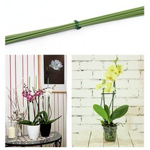 마이플랜트 식물 지지대 지주대 4mm_60cm(15개), 15개
