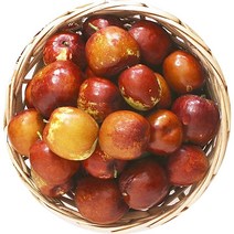 23년 사과왕대추 보은생대추 1kg, 사과왕대추 1kg 대과