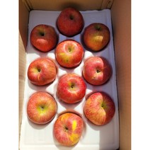 문경사과 가정용 흠사과 3kg 내외 10과, 3kg내외(10과), 1개