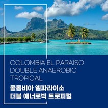 (커피생두) 157 콜롬비아 엘파라이소 더블 애너로빅 트로피컬 1kg, 1개