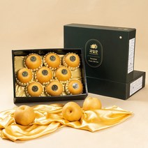 과일꾼 산지직송 나주배 ( 가정용 / 과일선물세트), 1box, 선물용 프리미엄 7.5kg 10과내