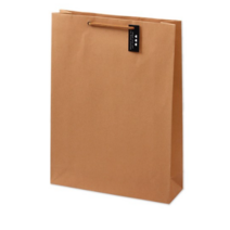 영프라자 무지 크라프트 쇼핑백 5p, 브라운, 2세트