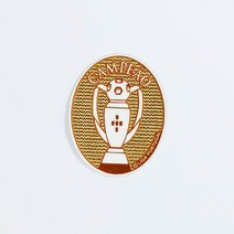 티브랜드 586_(플)LIGA 포르투갈 CAMPEAO 챔피언 패치