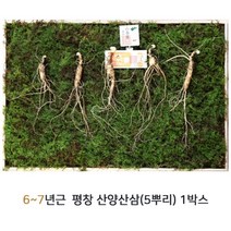 산삼어람 산양삼 산삼 산양산삼 자연산 장뇌삼 새싹삼 배양근 사포닌 효능 먹는법 부모님 추석선물 환갑선물 인삼, 1세트