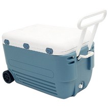 엔플라스틱 점보 롤러 아이스박스, 그레이, 80L