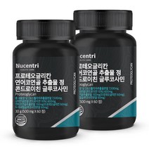 뉴센트리 프로테오글리칸 순도 40% 2형 콜라겐 연어코연골 추출물 분말 정 상어연골 콘드로이친 NAG 글루코사민, 60정, 500mg, 2개