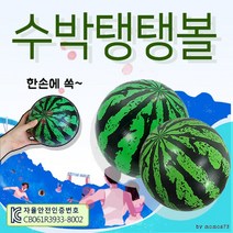 비치볼 [수박탱탱볼] 비치볼/물놀이공/워터볼/장난감공/탱탱공/어린이용 고무공/물놀이용품, 삼색비치볼