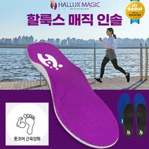 [국내총판] 할룩스 매직인솔 기능성 평발 족저근막 깔창 에어인솔 1세트, M (240mm~250mm), 바이올렛