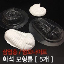 화석 삼엽충 암모나이트 만들기 모형틀 학습 준비물 창의 방과후 돌봄 탐구 재료 도구 교구 수업, 삼엽충 5개