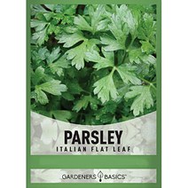 이탈리안 파슬리씨앗 허브 이태리 파슬리 씨 종자, 차이브