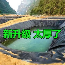 대형 연못용 방수포 농업용 우빙 호수 비닐 시트방수, 10x10m