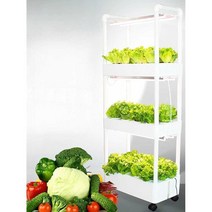 수경재배기 가정용 수경재배 LED 식물 야채 채소 3단, 2층+4개조명