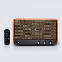 브리츠 블루투스 60W 스피커 탁상용 휴대용 캠핑 액티브타입 AirPulse P100X