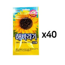 즐거운 간식 선물 해바라기 초코볼 30g 40개 1Box 초콜릿 간식, 상품선택, 본상품