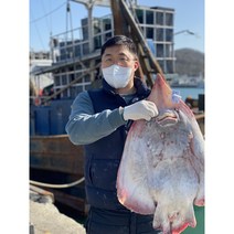 [영하2도 저온숙성] 신선보장 국산홍어 흑산도홍어 500g 1kg 홍어애 서비스 삭힌 삼합용, 국산홍어 1kg﻿(+홍어애), 중간삭힘
