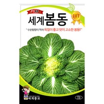 봄동 배추 씨앗 종자 가을 김장 채소 씨 봄배추 20g