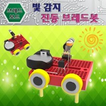 에브리데이쇼핑사이언스팜 빛감지 진동 브레드봇 브레드보드로보트 전자회로키트만들기 브레드봇 진동브레드봇 진동기판보드봇+dpqmflepdl, 상품대박