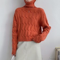 타니즈 체르빌 꽈베기 케이블 크롭 터틀넥 니트