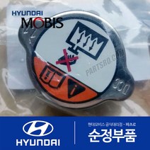 벨로스터 순정 라디에이터 캡 뚜껑 (2011-2017)