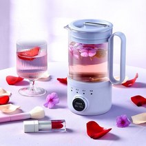 중탕기 죽 홍삼제조기110V/120V 다기능 건강 보존 냄비 0.6L 휴대용 전기 주전자 보일러 자동 절연 꽃 차, 02 110V Blue_02 EU