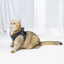 고양이산책줄 가슴줄 하네스 목줄 고양이전용 쿠션 산책줄 에어핏 산책냥이 산책냥, 블랙