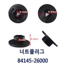 DJ-97/84145-26000/원형육각 대/1봉30개입/검정색/머드가드너트플러그/휠가드핀/육각너트/육각핀대/너트플러그