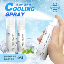 크린위즈 쿨링스프레이 뿌리는 에어컨 항균 발냄새 땀냄새제거 시원한냉감 옷에 뿌리는, 후레쉬 민트향
