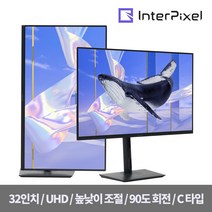 인터픽셀 IPU3210 32인치 4K UHD C타입 평면 멀티스탠드 모니터, 단품