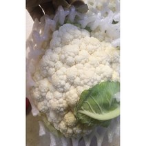 컬리플라워 500G 콜리플라워