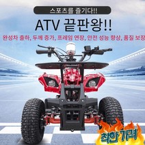 4륜 산악 바이 사륜 버기카 부모님, 24v 300w