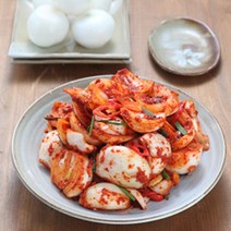[미식관]해남 화원농협 양파(장)김치5kg, 필수선택:양파김치5kg, 상세설명 참조