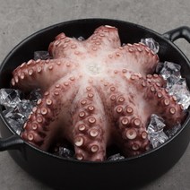 [제사용 한마리] 제수용 자숙문어 한마리 1kg 1.5kg 2kg 3kg 냉동 자숙문어 문어숙회 데친문어 삶은문어 모리타니아 돌문어, A_1. 자숙문어 한마리 1kg