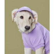 MLB PET 빅로고 맨투맨 LA (VIOLET), M