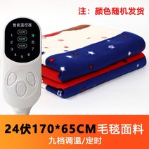 전기 장판 12V 24V 매트 캠핑 차박 여행용 온도조절 9단 스마트 조절 스위치 차량용 2인용 색상랜덤, 24V 170cmX65cm 9단 스위치