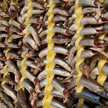 제이수산 팔팔한 속초 양미리 1kg (30미 내외) 반건조 양미리 1두름(20미), 반건조4두름80미