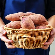 산지직송 전남 해남 황토 세척 큐어링 햇 꿀고구마 3kg 5kg 10kg 베니하루카, 비세척 꿀고구마 중상 5kg