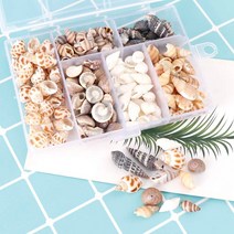 수족관 젤캔들 DIY 비즈 공예 부자재 조개 껍질 100P