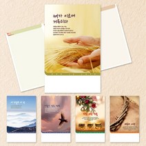 예닮 주보 절기주보 5종 주보 교회주보 주보디자인 칼라복사지 교회용품 주보인쇄 주보만들기, 3세트, 380x200mm 500매
