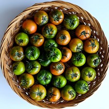 [미인농수산] 고당도 단짠 부산 대저 짭짤이 토마토 2.5kg, 대저 짭잘이 토마토(프리미엄과 2s사이즈)