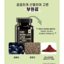 동신헬스케어 루테인 아이케어 솔루션 550mg 60캡슐, 1박스(2개월분)
