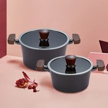 코스트코 해피콜 그래핀 하이브 냄비 2종 세트, 해피콜 그래핀하이브 냄비 2종세트