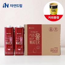 자연드림 마그네슘강화 기픈물 1000ml x (12개입) (멸균종이팩생수 심층수), 없음