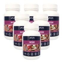 비타핏 (Vitafit) MSM (식이유황) 600mg 100 캡슐 X 6개, 600캡슐, 1세트