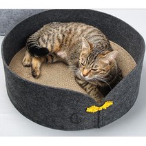 라온텐 고양이 골판지 스크래쳐 평판, jingray