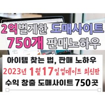 순수익 2억 벌게한 도매사이트 750개와 판매 노하우 (빠른 발송 + PDF 전자책), 서비스타입 A