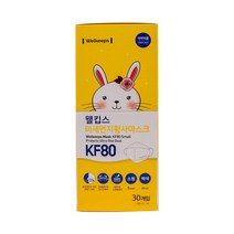 웰킵스 KF80 마스크 소형 30매 개별포장