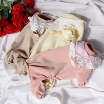 포메라이언 댕댕이 강아지 분양 베들링턴테리어 빠삐용강아지 삽살개 파티푸들 털안빠지는강아지 소형견종류 개훌륭 강형욱 코코펫 케이프올인원, 엘로우