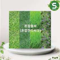 솔림텃밭몰 혼합잔디씨앗 1kg 혼합풀씨 우니라나 토양 적합, 단품