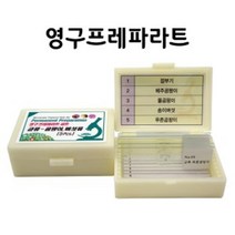 곰팡이세포구조 현미경표본 교육키트 과학놀이 초등학교 생물체 영구 학습도구 표분